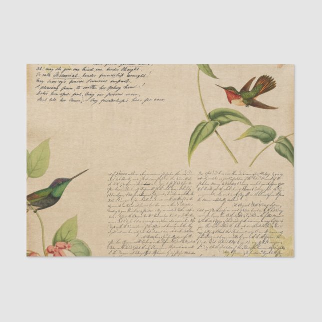 Vintage Hummingbird Ephemera Tissue Paper (Front)