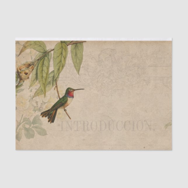 Vintage Hummingbird Ephemera Tissue Paper (Front)