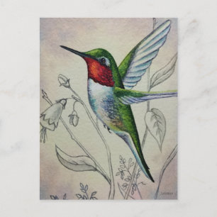 Vintage Hummingbird No. 1 Watercolor Art Postcard