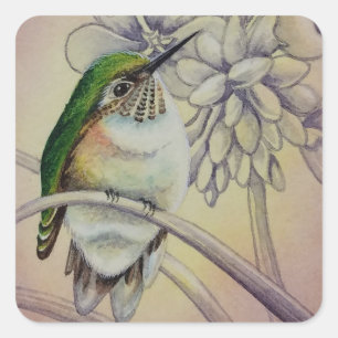 Vintage Hummingbird No. 5 Watercolor Art Square Sticker