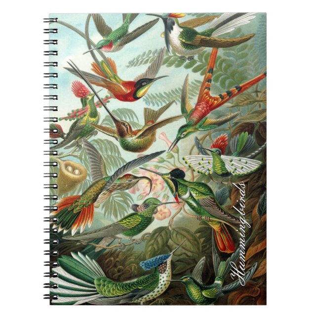 Vintage Hummingbird Notebook (Front)