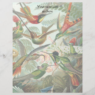 Vintage Hummingbirds