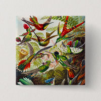 Vintage Hummingbirds by Ernst Haeckel