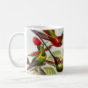 Vintage Hummingbirds by Ernst Haeckel Coffee Mug