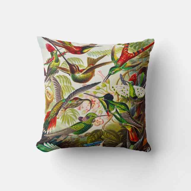 Vintage Hummingbirds by Ernst Haeckel Cushion (Front)