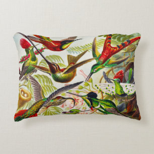 Vintage Hummingbirds by Ernst Haeckel Decorative Cushion