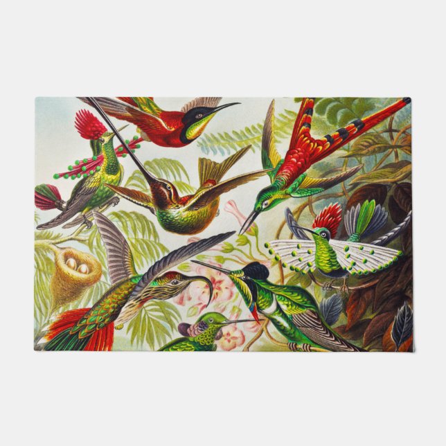Vintage Hummingbirds by Ernst Haeckel Doormat (Front)