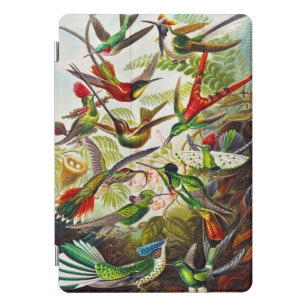 Vintage Hummingbirds by Ernst Haeckel iPad Pro Cover