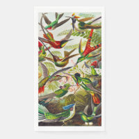 Vintage Hummingbirds by Ernst Haeckel