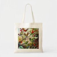 Vintage Hummingbirds by Ernst Haeckel