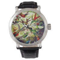 Vintage Hummingbirds by Ernst Haeckel