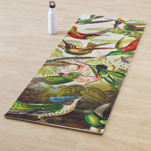 Vintage Hummingbirds by Ernst Haeckel Yoga Mat