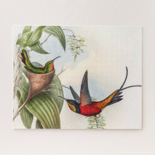 Vintage Hummingbirds by John Gould Jigsaw Puzzle