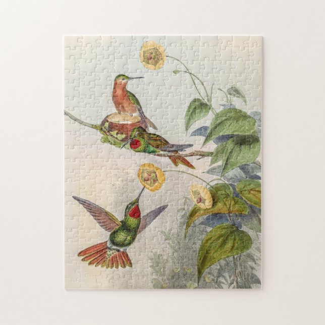 Vintage Hummingbirds by John Gould Jigsaw Puzzle (Vertical)