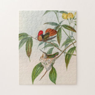 Vintage Hummingbirds by John Gould Jigsaw Puzzle