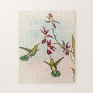 Vintage Hummingbirds by John Gould Jigsaw Puzzle
