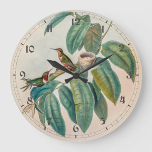 Vintage Hummingbirds by John Gould Large Clock
