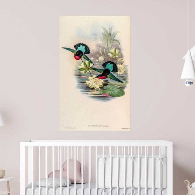 Vintage Hummingbirds by John Gould Poster (Nursery 2)