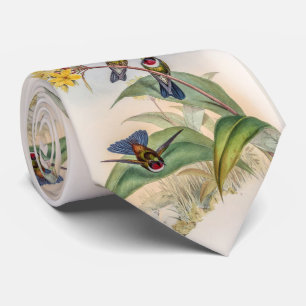 Vintage Hummingbirds by John Gould Tie