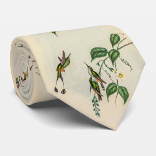 Vintage Hummingbirds by John Gould Tie