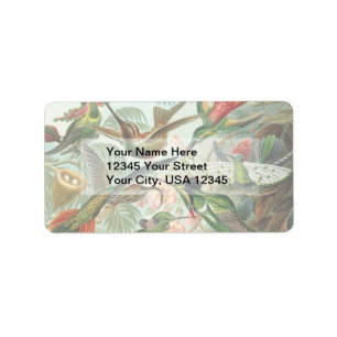 Vintage Hummingbirds Label