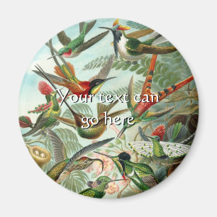 Vintage Hummingbirds Magnet