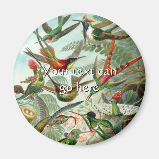 Vintage Hummingbirds Magnet