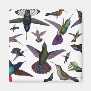 Vintage Hummingbirds Magnet