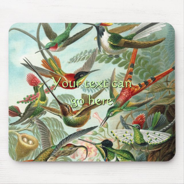 Vintage Hummingbirds Mouse Pad (Front)
