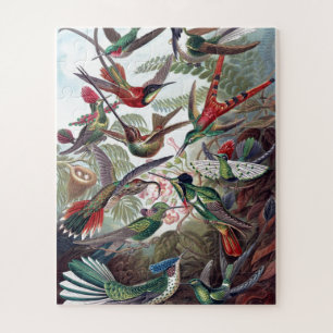 Vintage Hummingbirds Old Book Illustration Art Jigsaw Puzzle