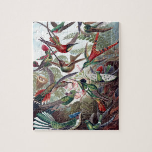 Vintage Hummingbirds Old Book Illustration Art Jigsaw Puzzle