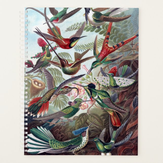 Vintage Hummingbirds Planner (Front)
