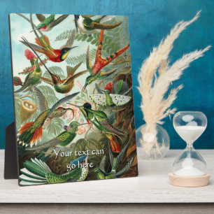 Vintage Hummingbirds Plaque