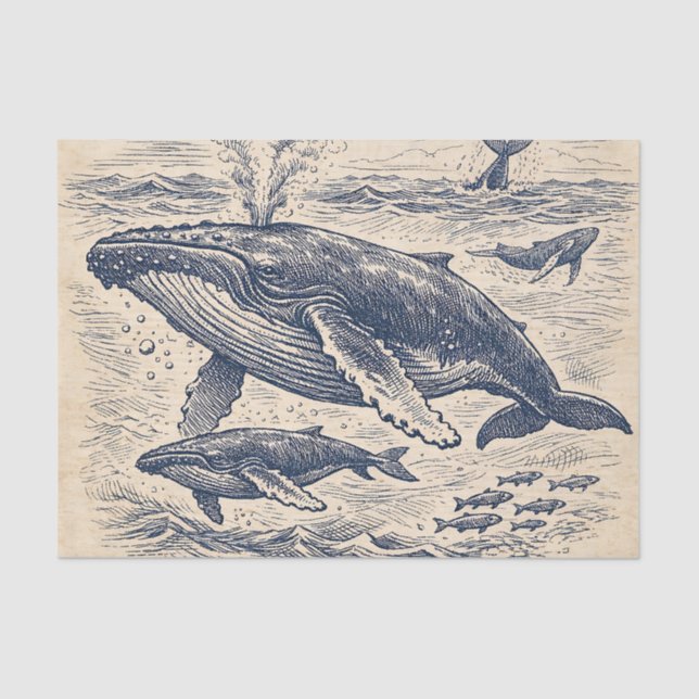 Vintage Humpback Whale Pod Engraving Tissue Paper (Front)