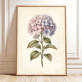 Vintage Hydrangea Floral Wall Art