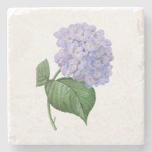Vintage Hydrangea Vintage Flower Botanical Gift