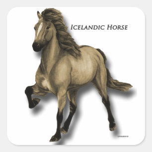 Vintage Icelandic Square Sticker