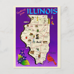 Vintage Illinois Greetings  Postcard