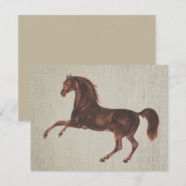 Vintage Illustrated Chestnut Horse Note Card Set (Front/Back)