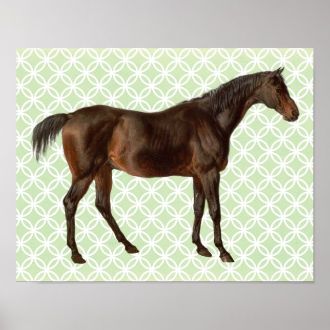 Vintage Illustrated Horse Retro Art Poster (Front)