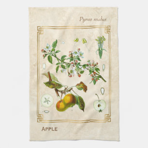 Vintage Illustration Apple Fruit Botanical Floral Tea Towel