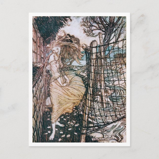 Vintage Illustration by Arthur Rackham Undine Postcard (Front)
