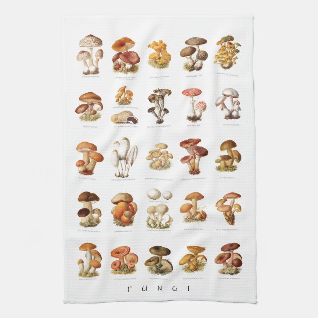 Vintage illustration chart edible mushrooms tea towel (Vertical)
