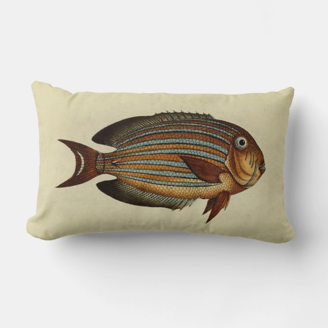 Vintage Illustration Clown Tang Fish Lumbar Cushion (Front)