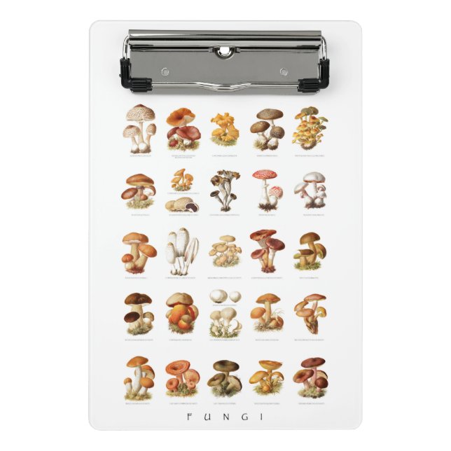 Vintage illustration edible non-edible mushrooms mini clipboard (Front)