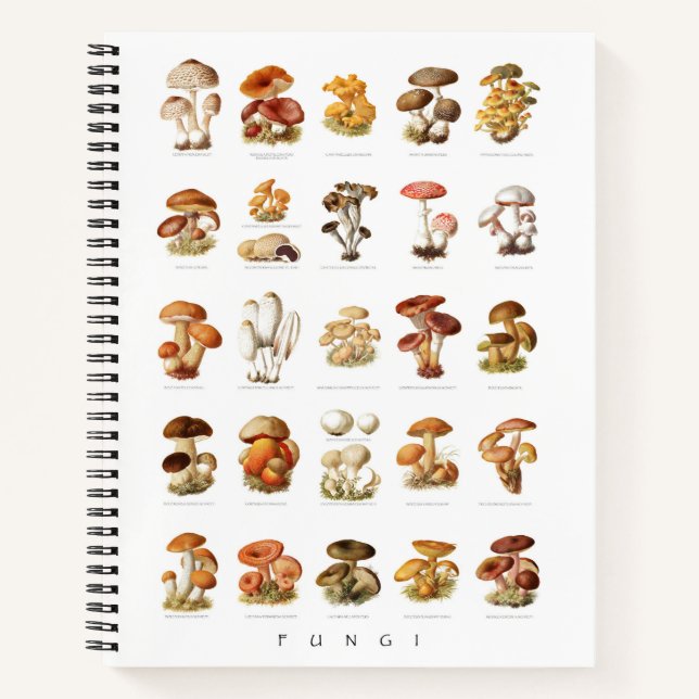 Vintage illustration edible non-edible mushrooms notebook (Front)