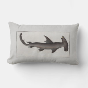 Vintage Illustration Hammerhead Shark Lumbar Cushion