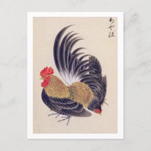 Vintage illustration: Japanese bantam Postcard