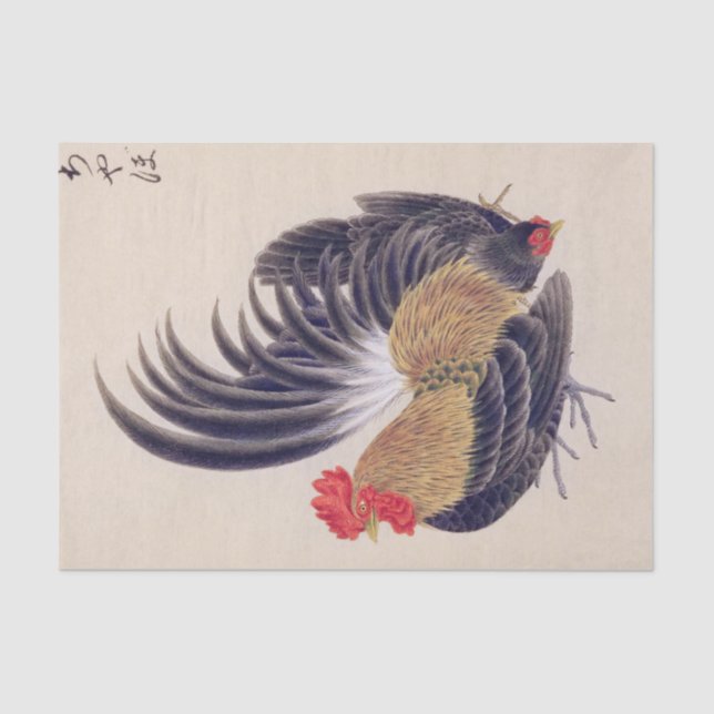 Vintage illustration: Japanese bantam Tissue Paper (Front)