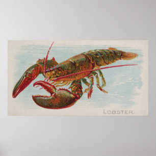 Vintage Illustration of a Lobster (1889) Poster